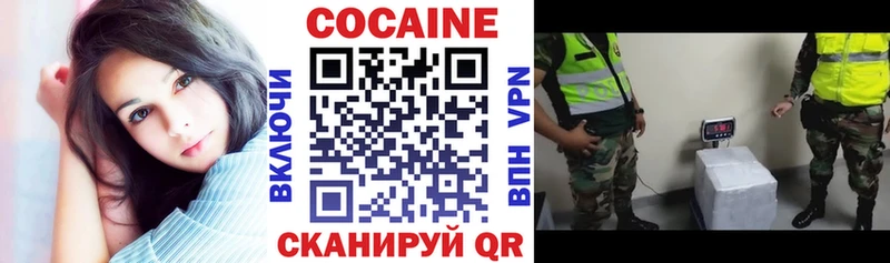 COCAIN Fish Scale  где купить наркотик  Новохопёрск 