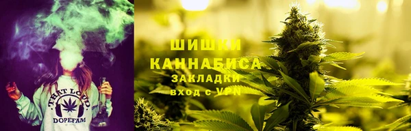прущая мука Гусев