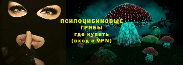 бошки Нягань