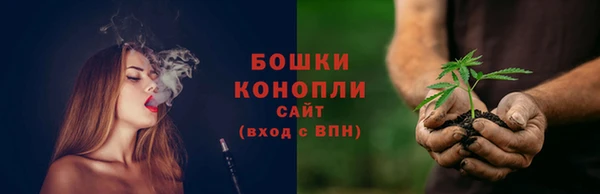 прущая мука Гусев