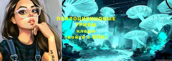 кристаллы Гусь-Хрустальный
