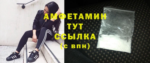 ГАЛЛЮЦИНОГЕННЫЕ ГРИБЫ Гусиноозёрск