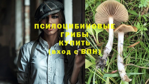 кристаллы Гусь-Хрустальный