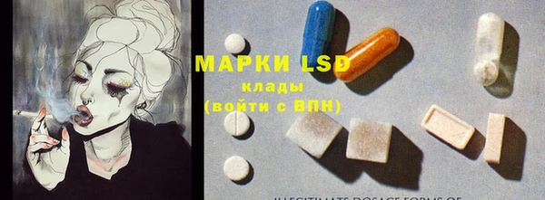 ГАЛЛЮЦИНОГЕННЫЕ ГРИБЫ Гусиноозёрск